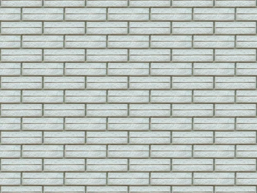 تصویر پلاک صخره ای شیار دار